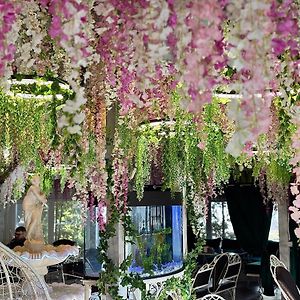 Viktoriya Family Hotel Restaurant Complex